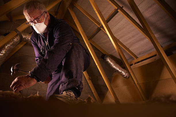 Best Blown-in Insulation in Poplar Plains, CT